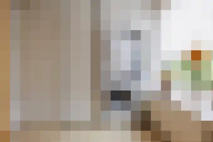 Damlust 8 Leersum thumbnail 16