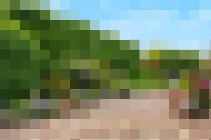 Damlust 8 Leersum thumbnail 4
