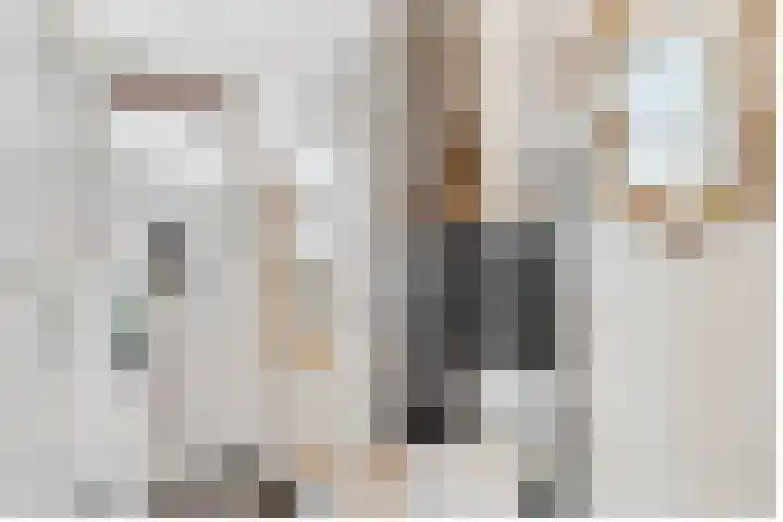 Dammaat 9 Laren thumbnail 10