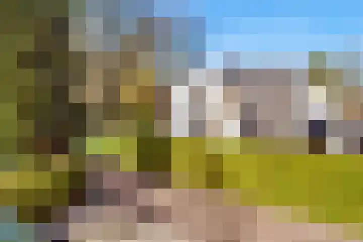 Dammaat 9 Laren thumbnail 24