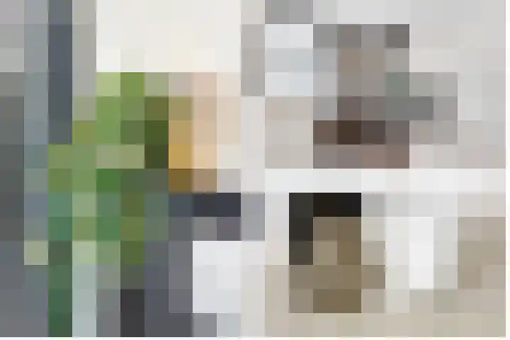 Dammaat 9 Laren thumbnail 28