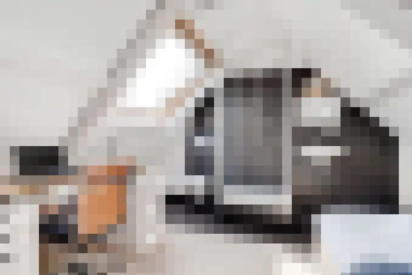 Dammaat 9 Laren thumbnail 29