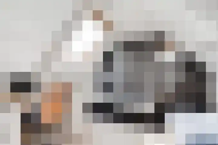 Dammaat 9 Laren thumbnail 31