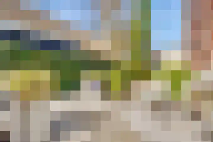 Dammaat 9 Laren thumbnail 32