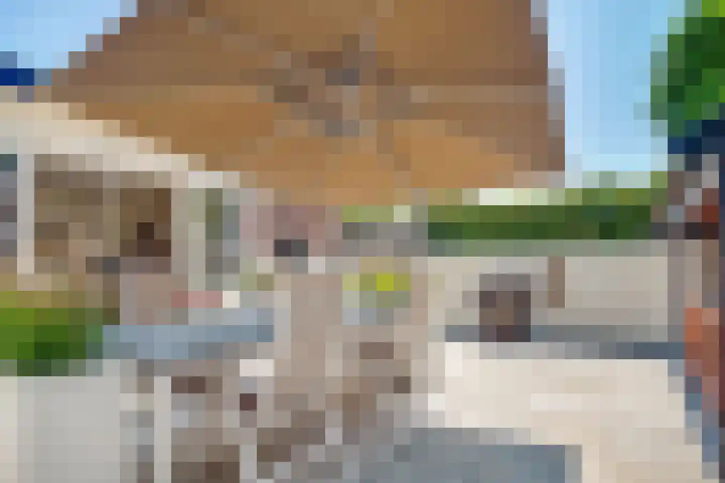 Dammaat 9 Laren thumbnail 32