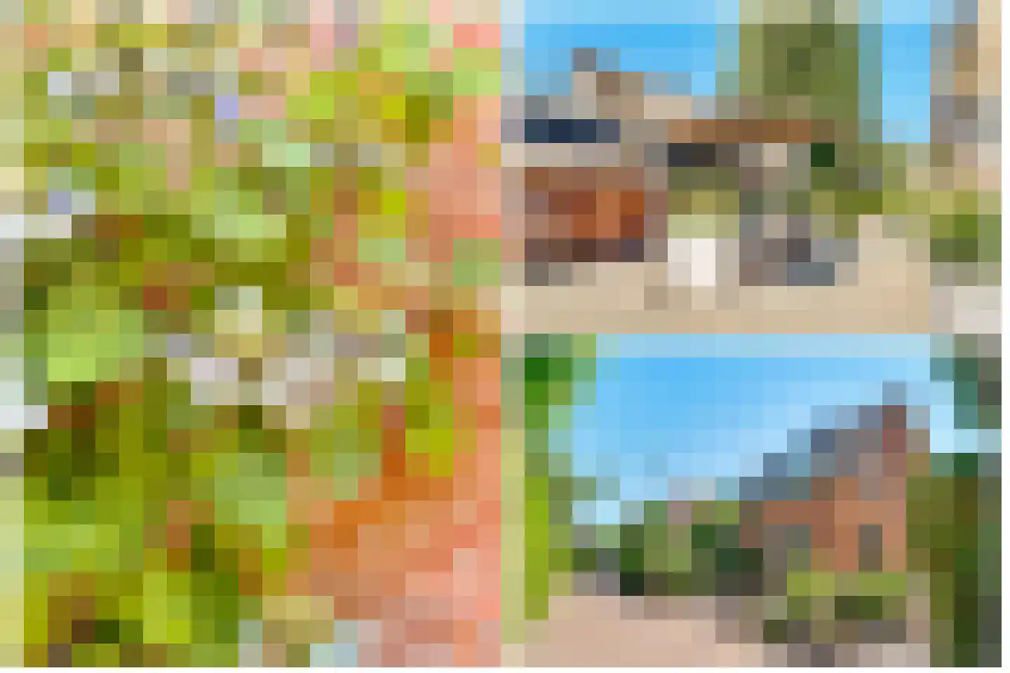 Dammaat 9 Laren thumbnail 33