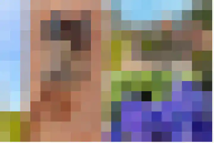 Dammaat 9 Laren thumbnail 35