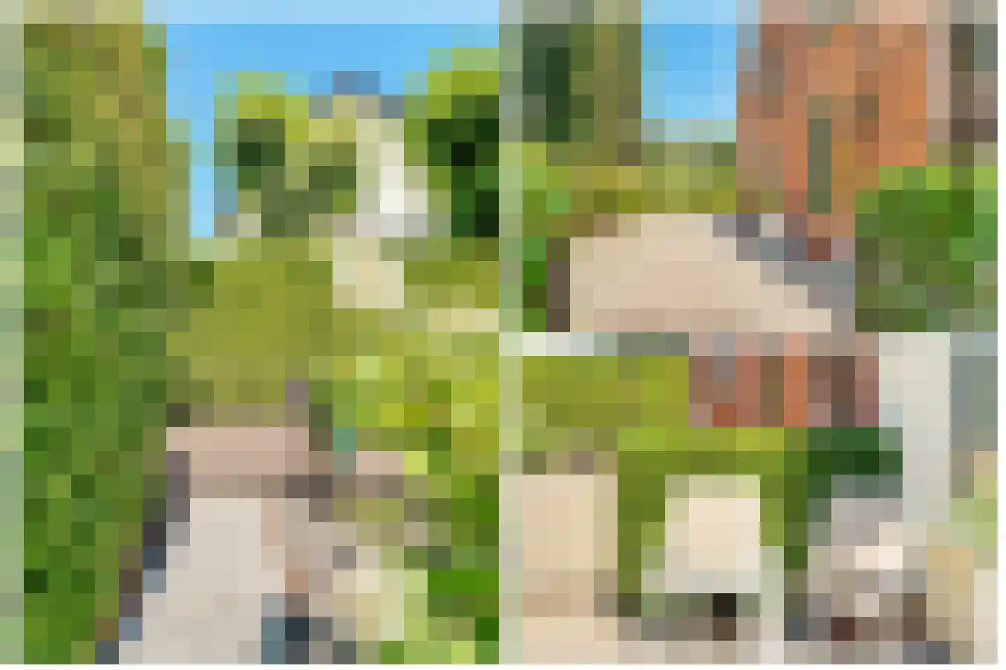 Dammaat 9 Laren thumbnail 35