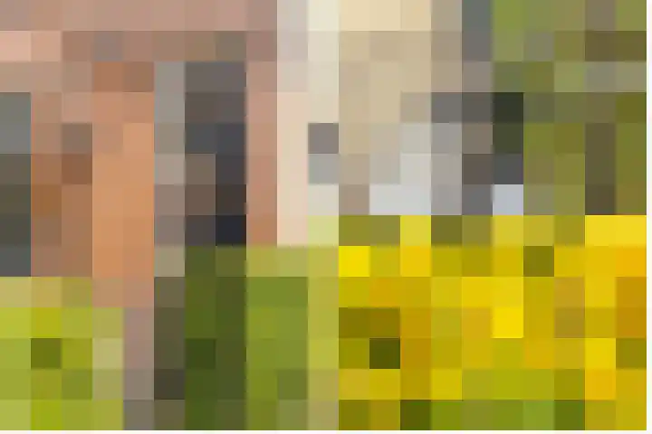 Dammaat 9 Laren thumbnail 36
