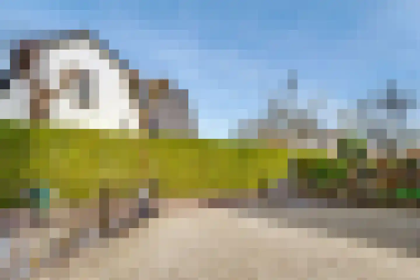 Dammaat 9 Laren thumbnail 38