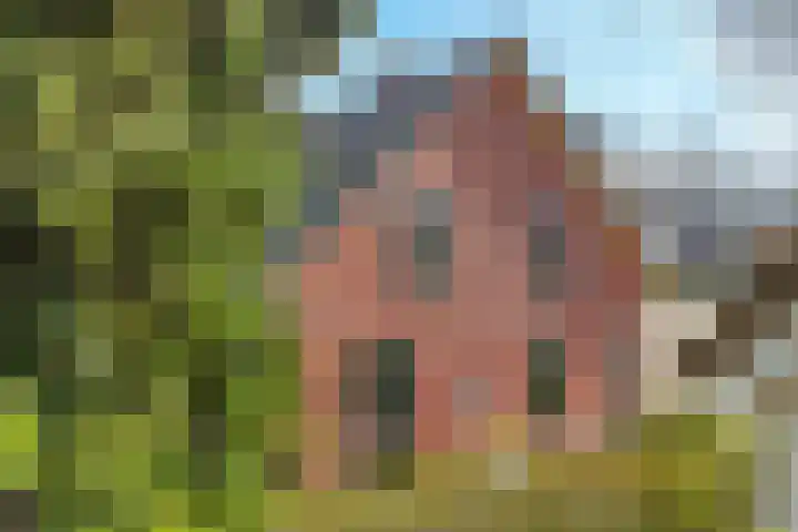 Dammaat 9 Laren thumbnail 4