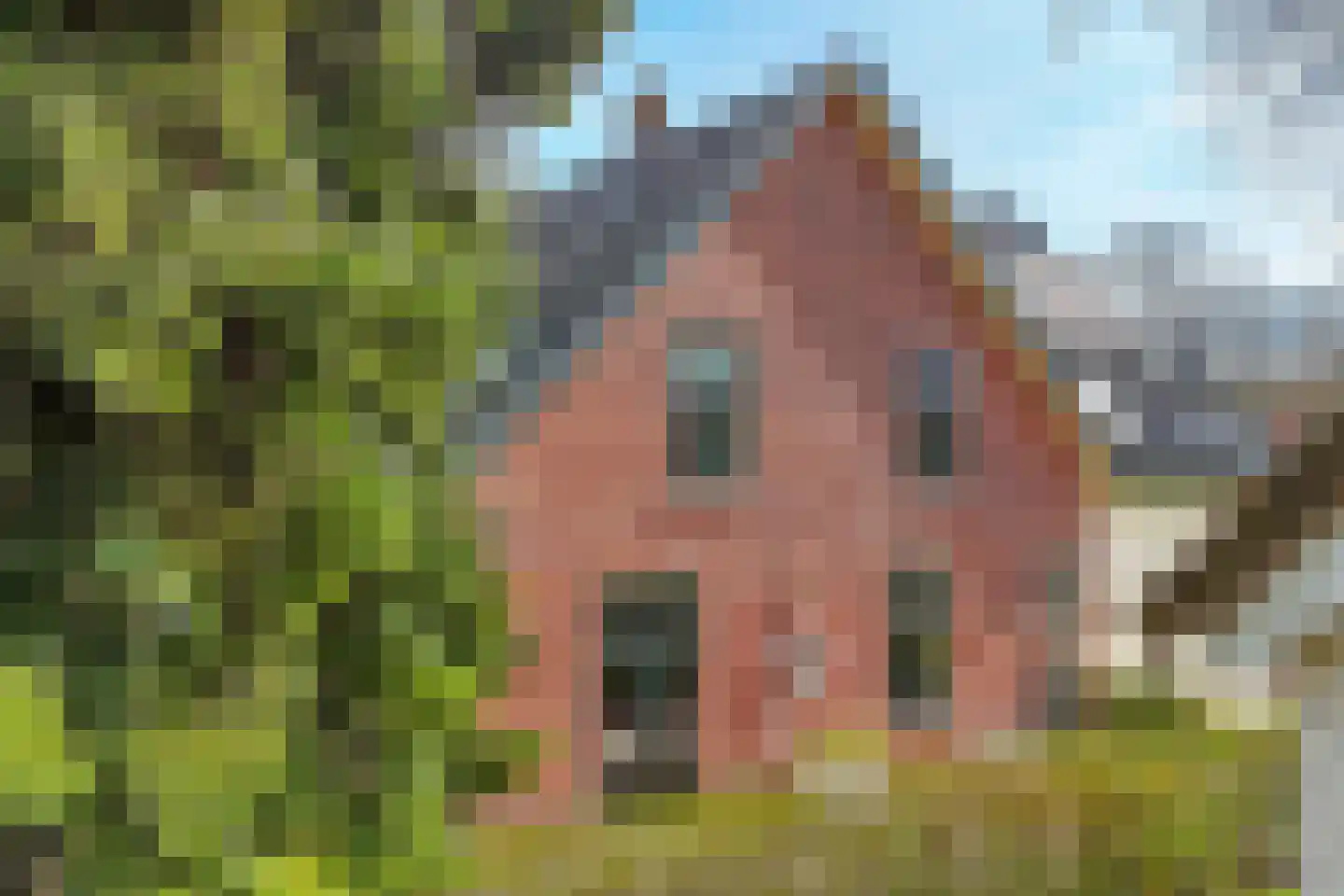 Dammaat 9 Laren thumbnail 4