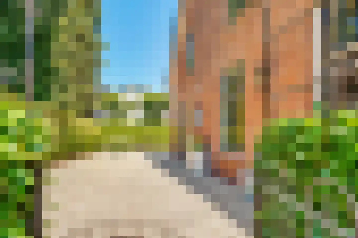 Dammaat 9 Laren thumbnail 5