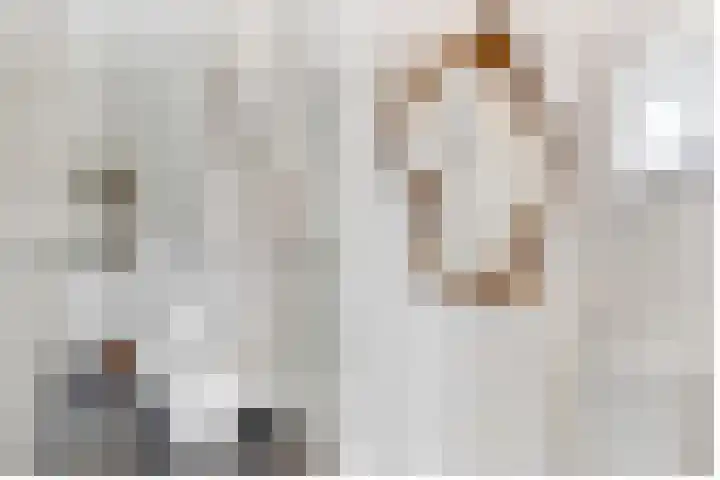Dammaat 9 Laren thumbnail 9