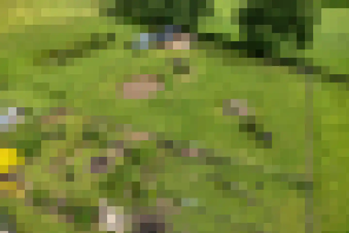 Dammans-Es 12 Dalfsen thumbnail 10