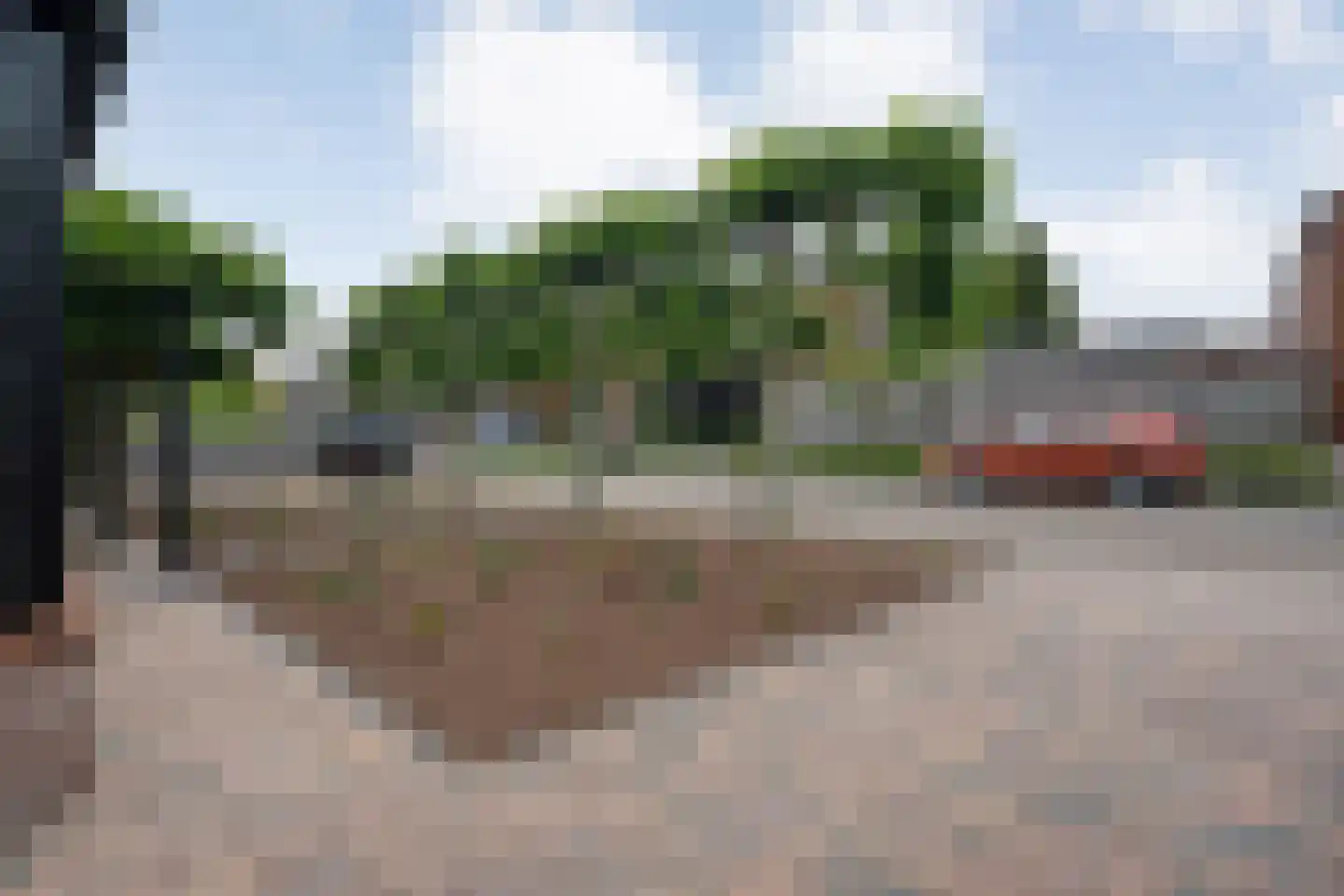 Dammans-Es 12 Dalfsen thumbnail 100