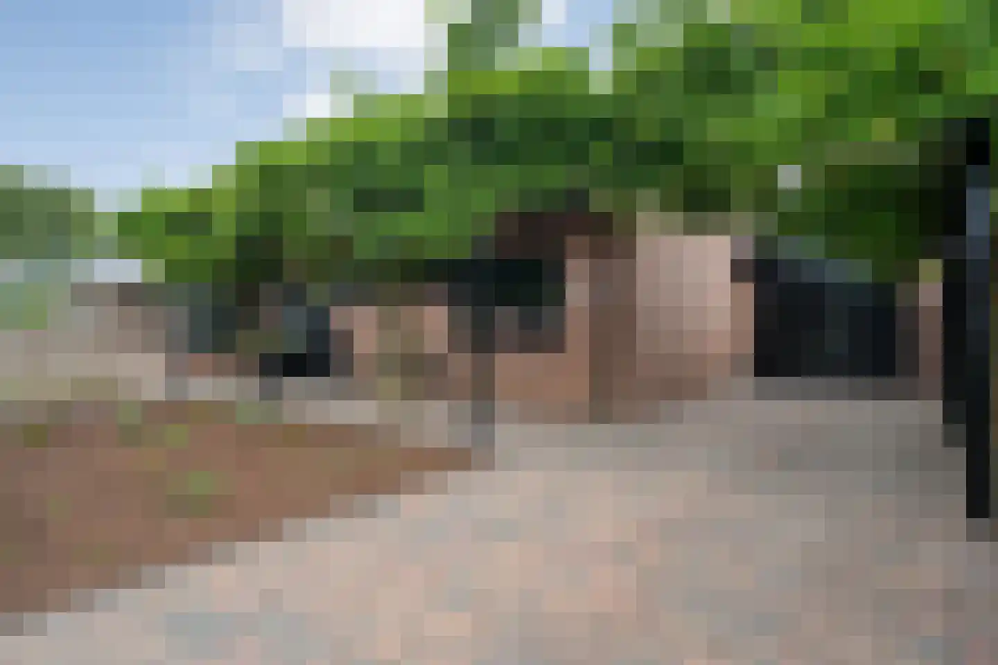 Dammans-Es 12 Dalfsen thumbnail 102