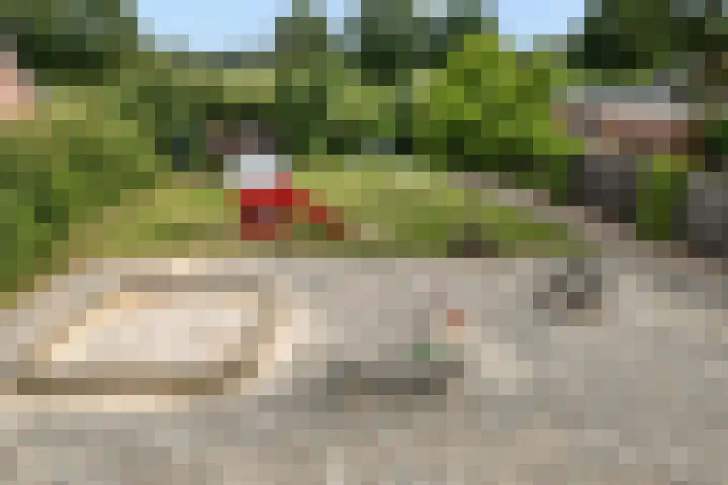Dammans-Es 12 Dalfsen thumbnail 105