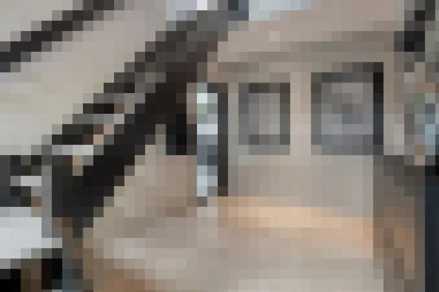 Dammans-Es 12 Dalfsen thumbnail 11
