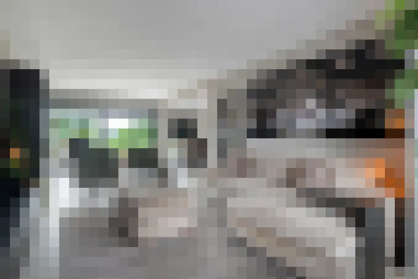 Dammans-Es 12 Dalfsen thumbnail 13