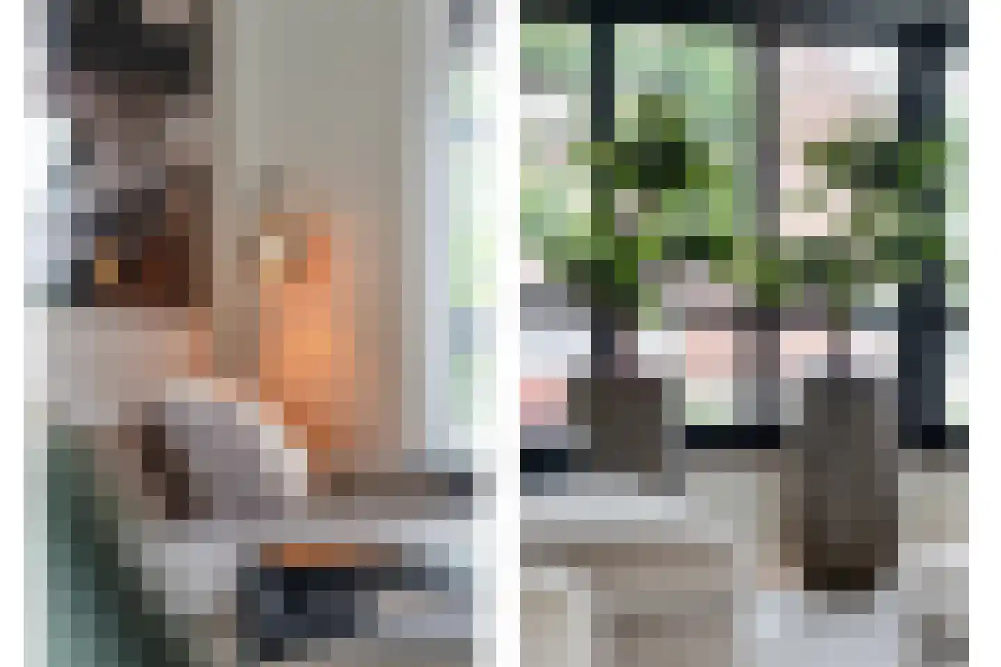 Dammans-Es 12 Dalfsen thumbnail 14