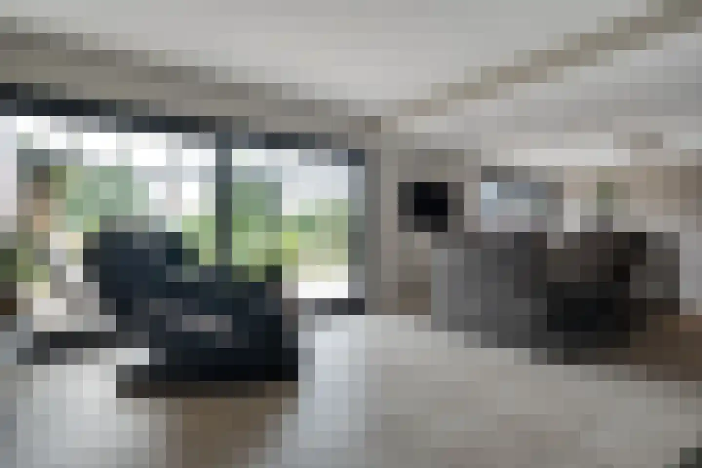 Dammans-Es 12 Dalfsen thumbnail 15