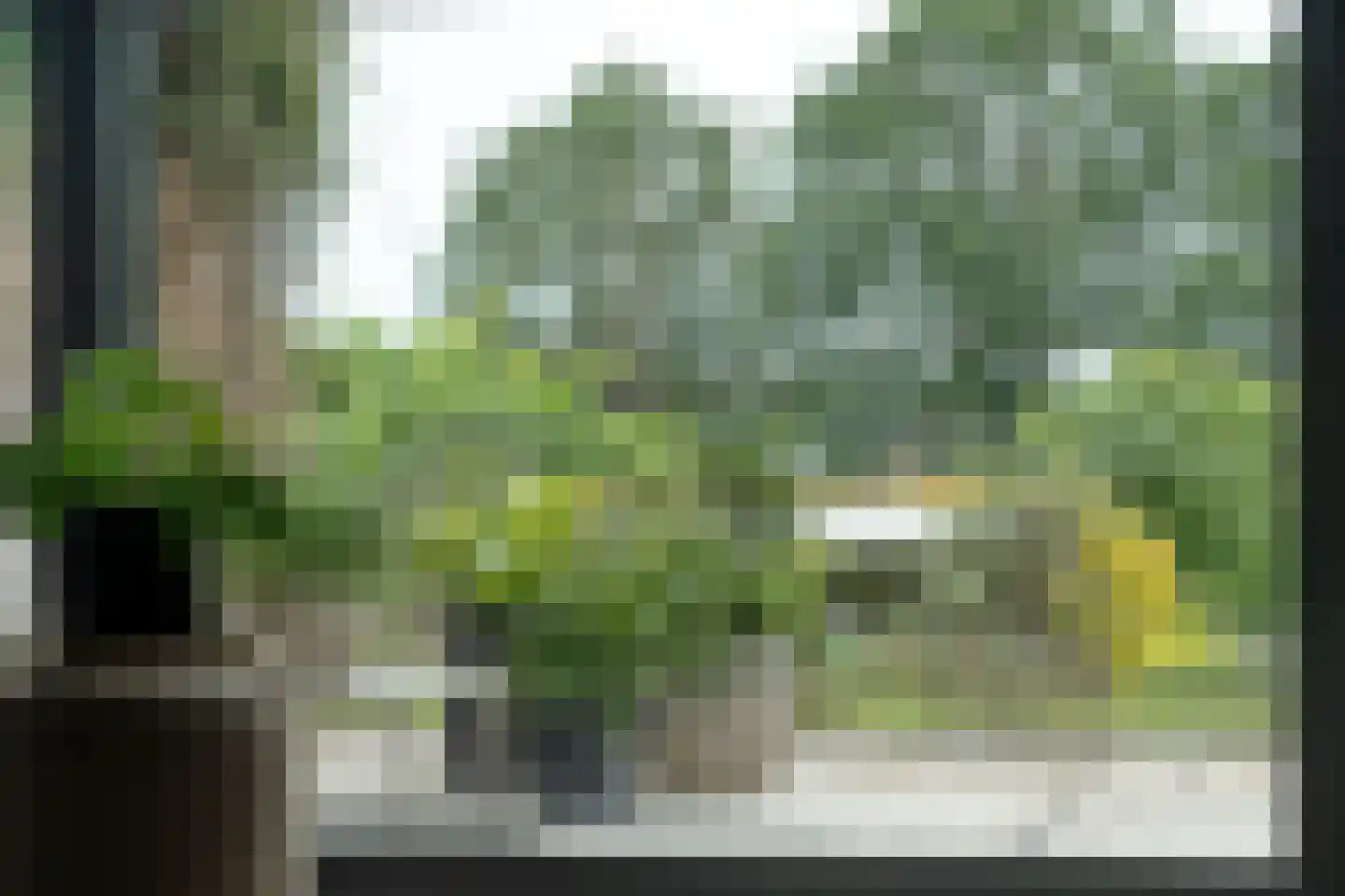 Dammans-Es 12 Dalfsen thumbnail 16