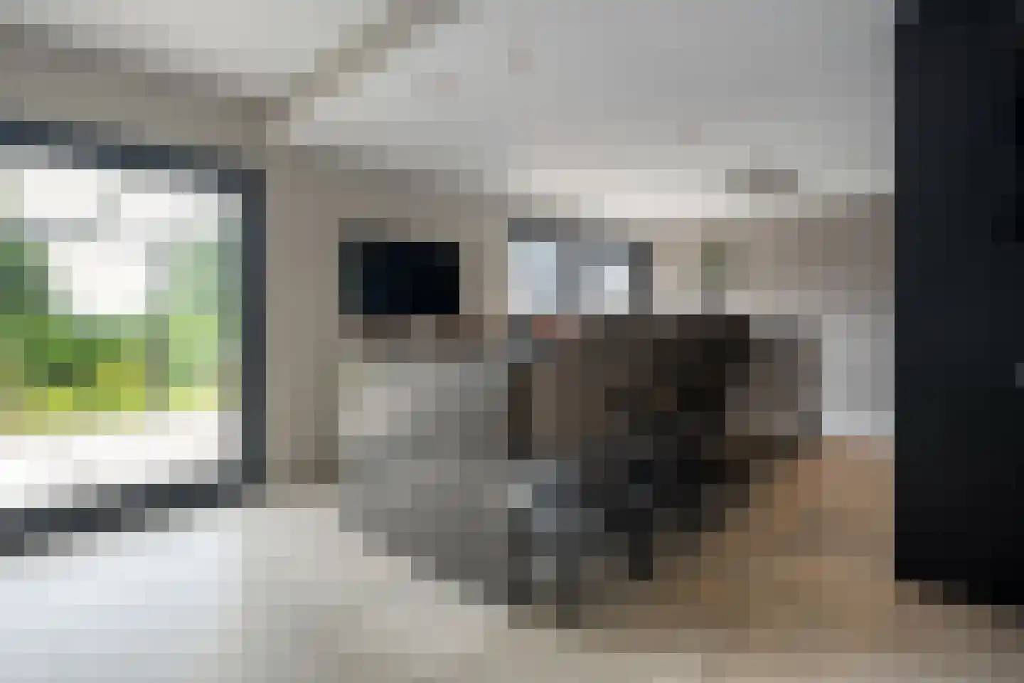 Dammans-Es 12 Dalfsen thumbnail 17