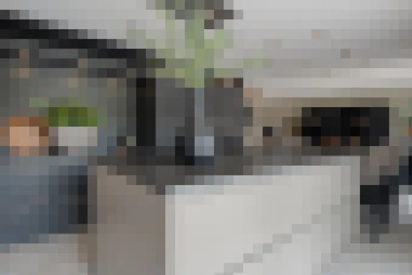 Dammans-Es 12 Dalfsen thumbnail 19
