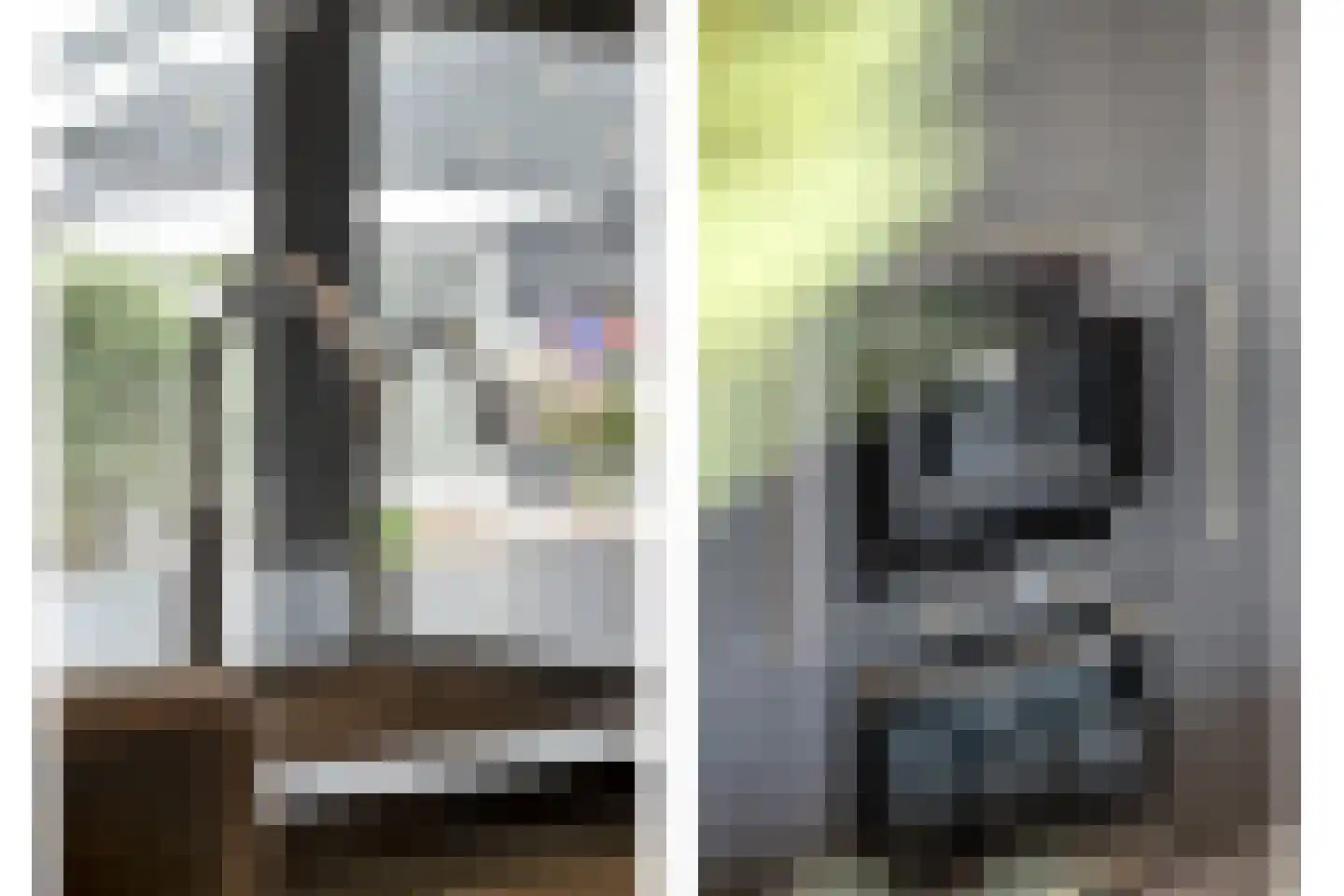 Dammans-Es 12 Dalfsen thumbnail 22