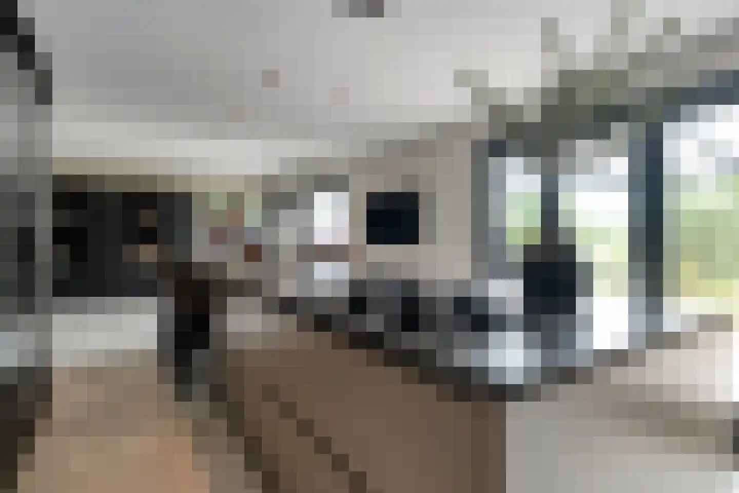 Dammans-Es 12 Dalfsen thumbnail 23