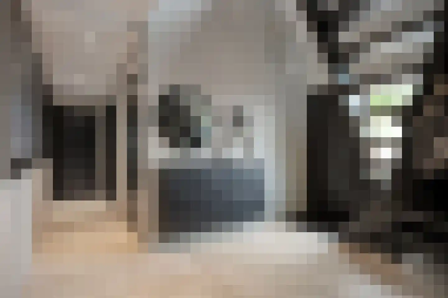 Dammans-Es 12 Dalfsen thumbnail 24