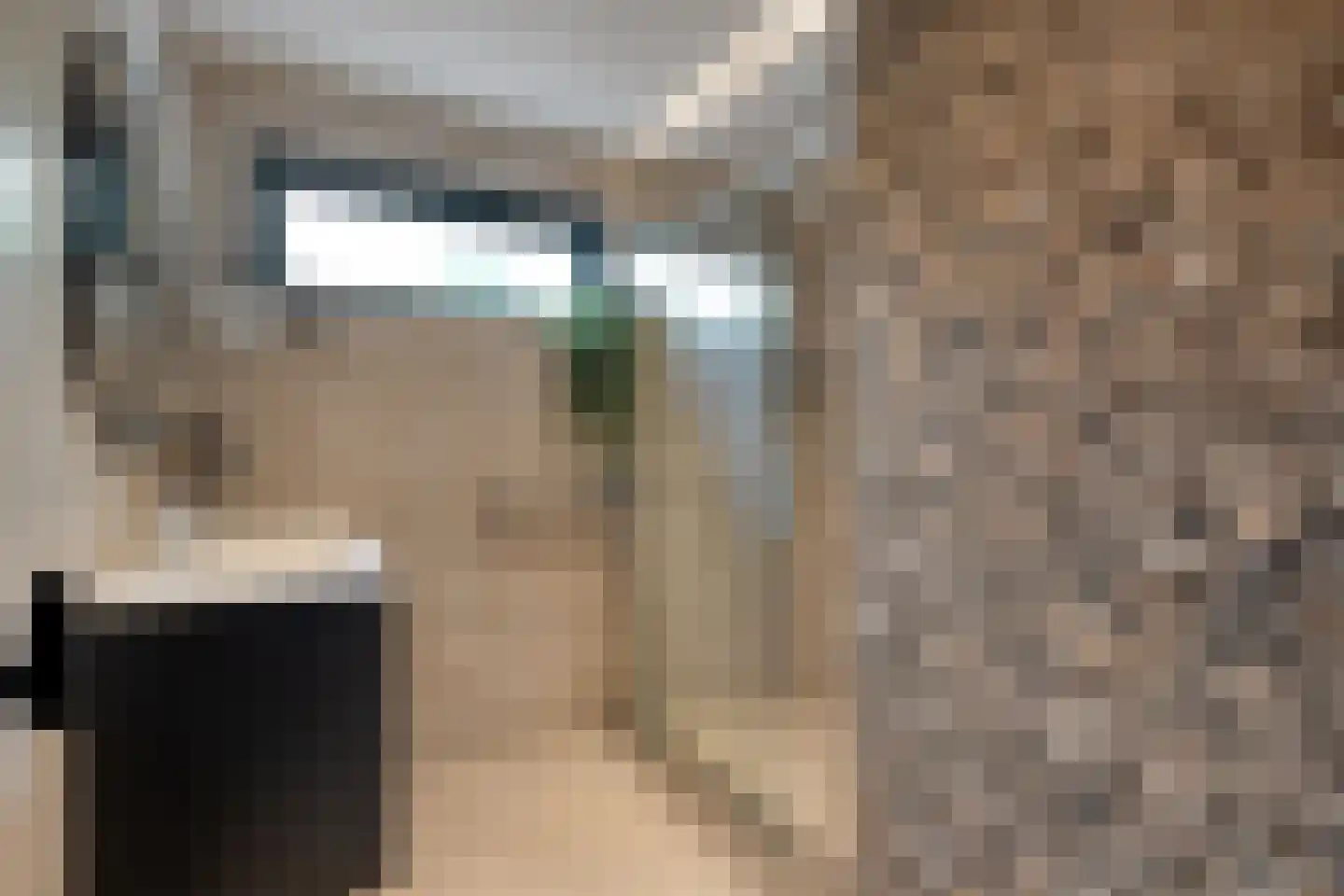 Dammans-Es 12 Dalfsen thumbnail 26