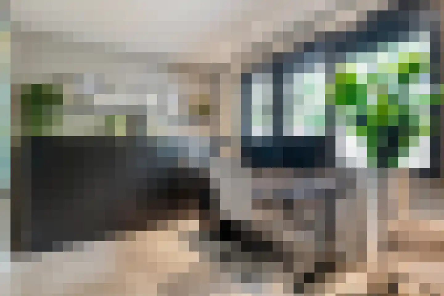Dammans-Es 12 Dalfsen thumbnail 29