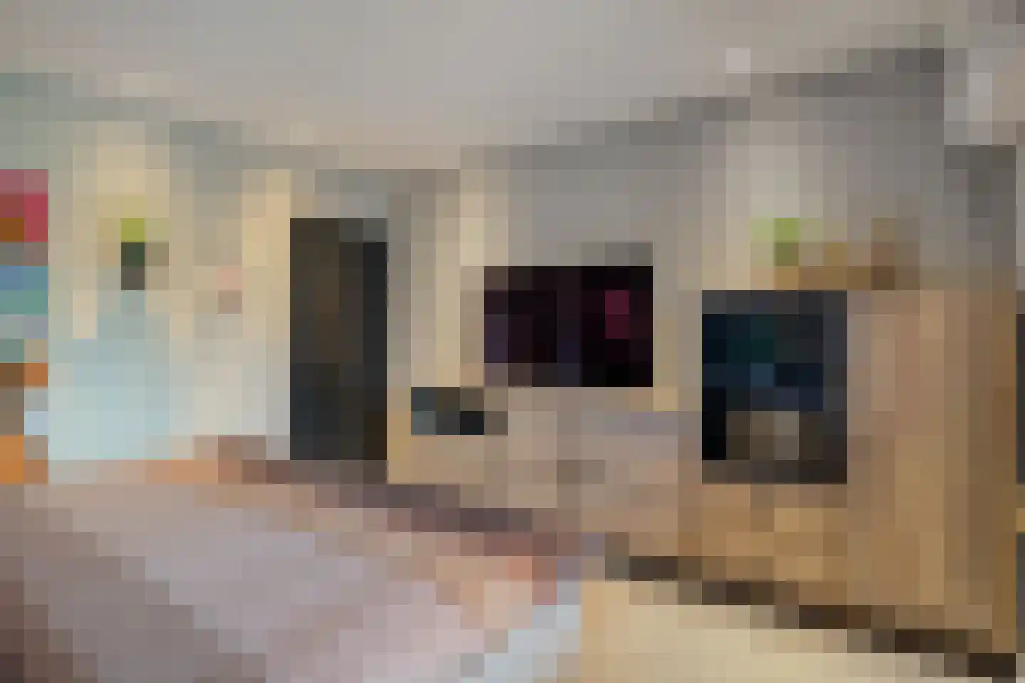Dammans-Es 12 Dalfsen thumbnail 32