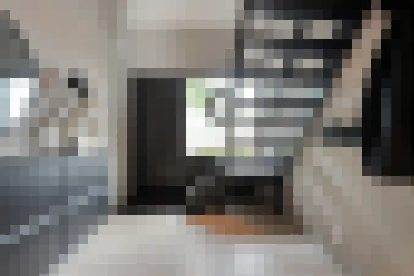 Dammans-Es 12 Dalfsen thumbnail 33