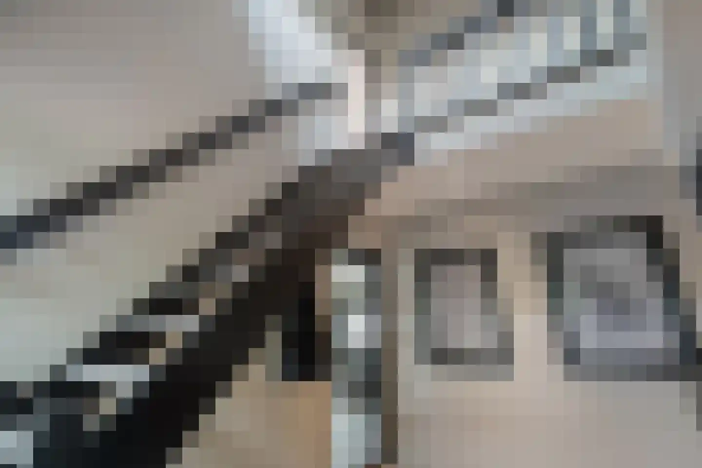 Dammans-Es 12 Dalfsen thumbnail 34