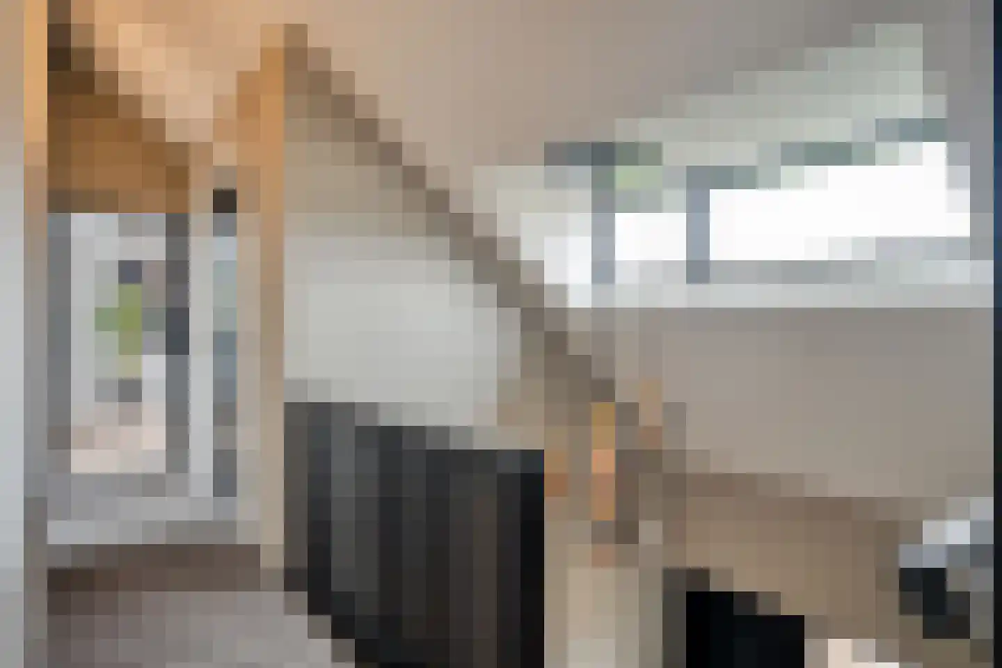 Dammans-Es 12 Dalfsen thumbnail 38
