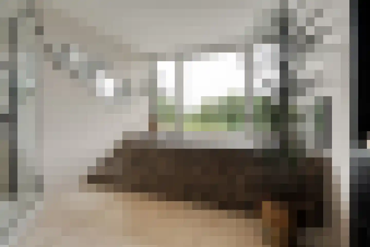 Dammans-Es 12 Dalfsen thumbnail 41