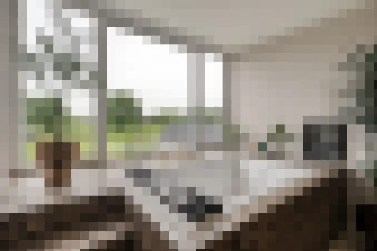Dammans-Es 12 Dalfsen thumbnail 42