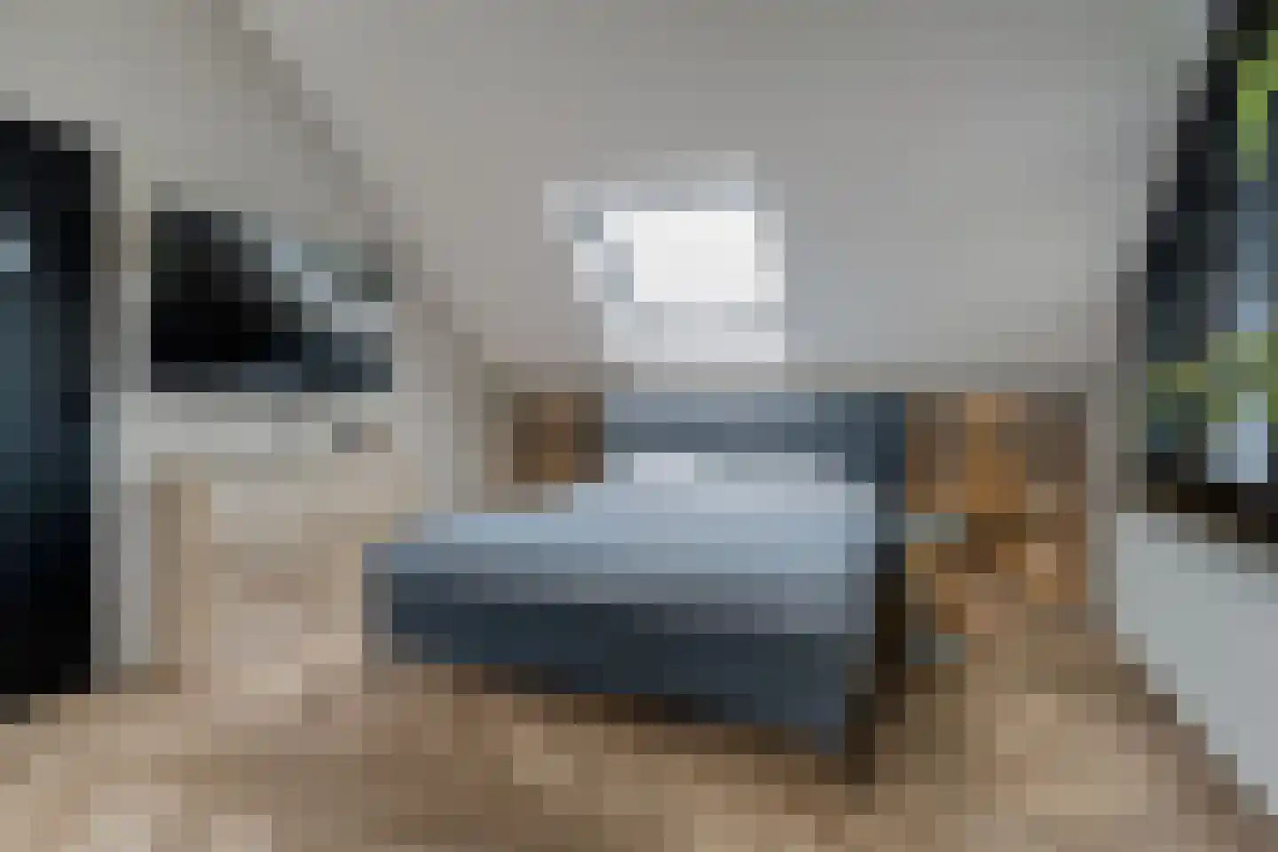 Dammans-Es 12 Dalfsen thumbnail 48