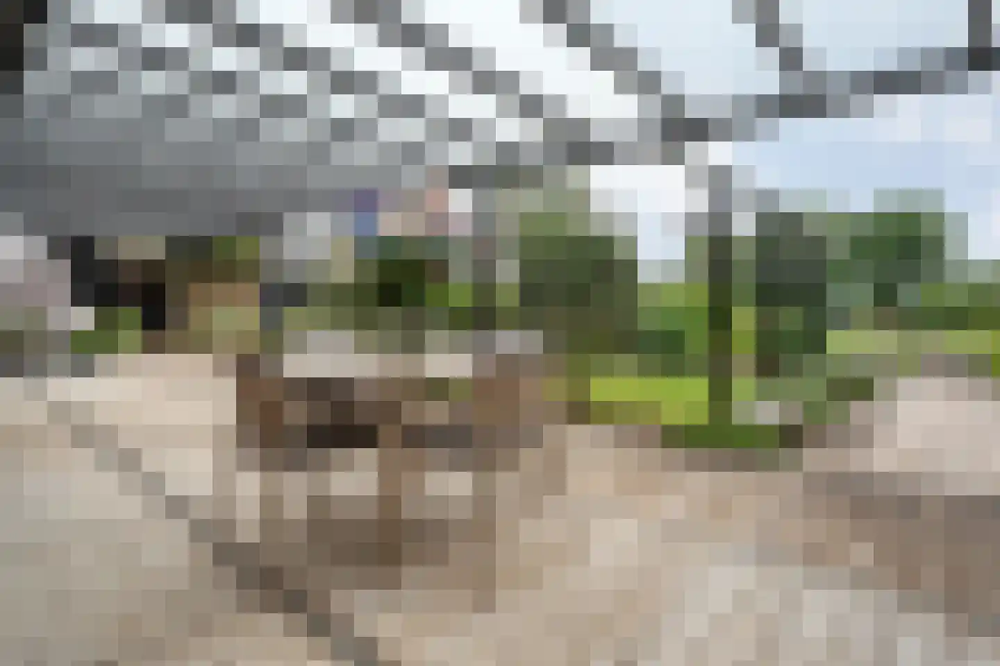 Dammans-Es 12 Dalfsen thumbnail 49