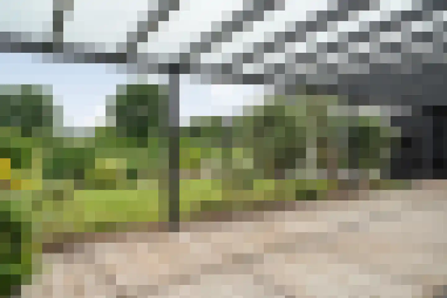 Dammans-Es 12 Dalfsen thumbnail 51