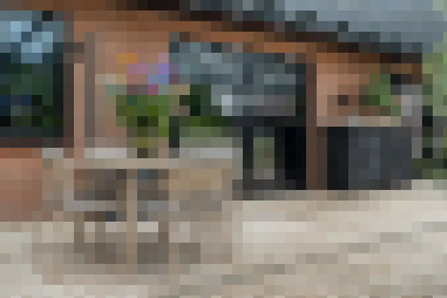 Dammans-Es 12 Dalfsen thumbnail 52