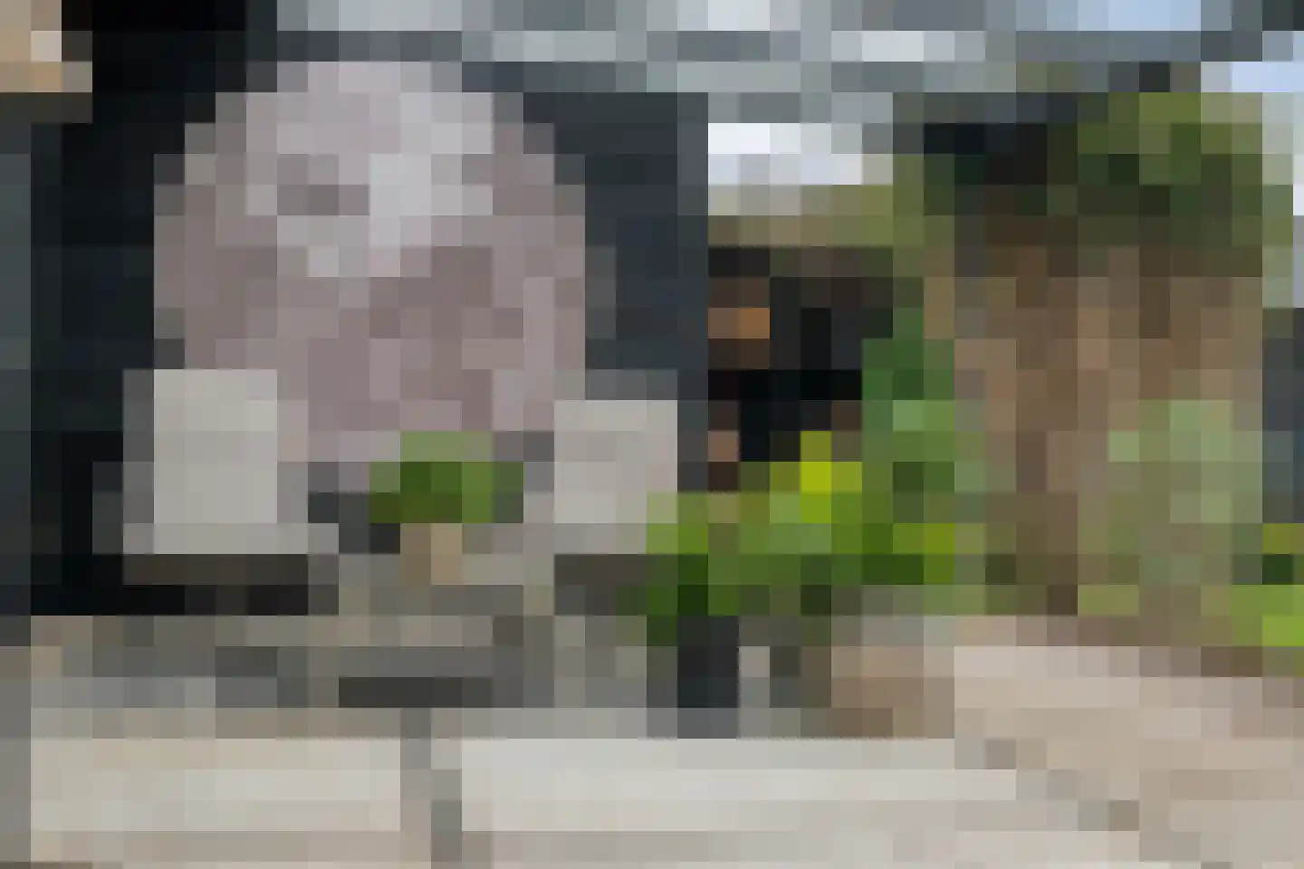 Dammans-Es 12 Dalfsen thumbnail 53