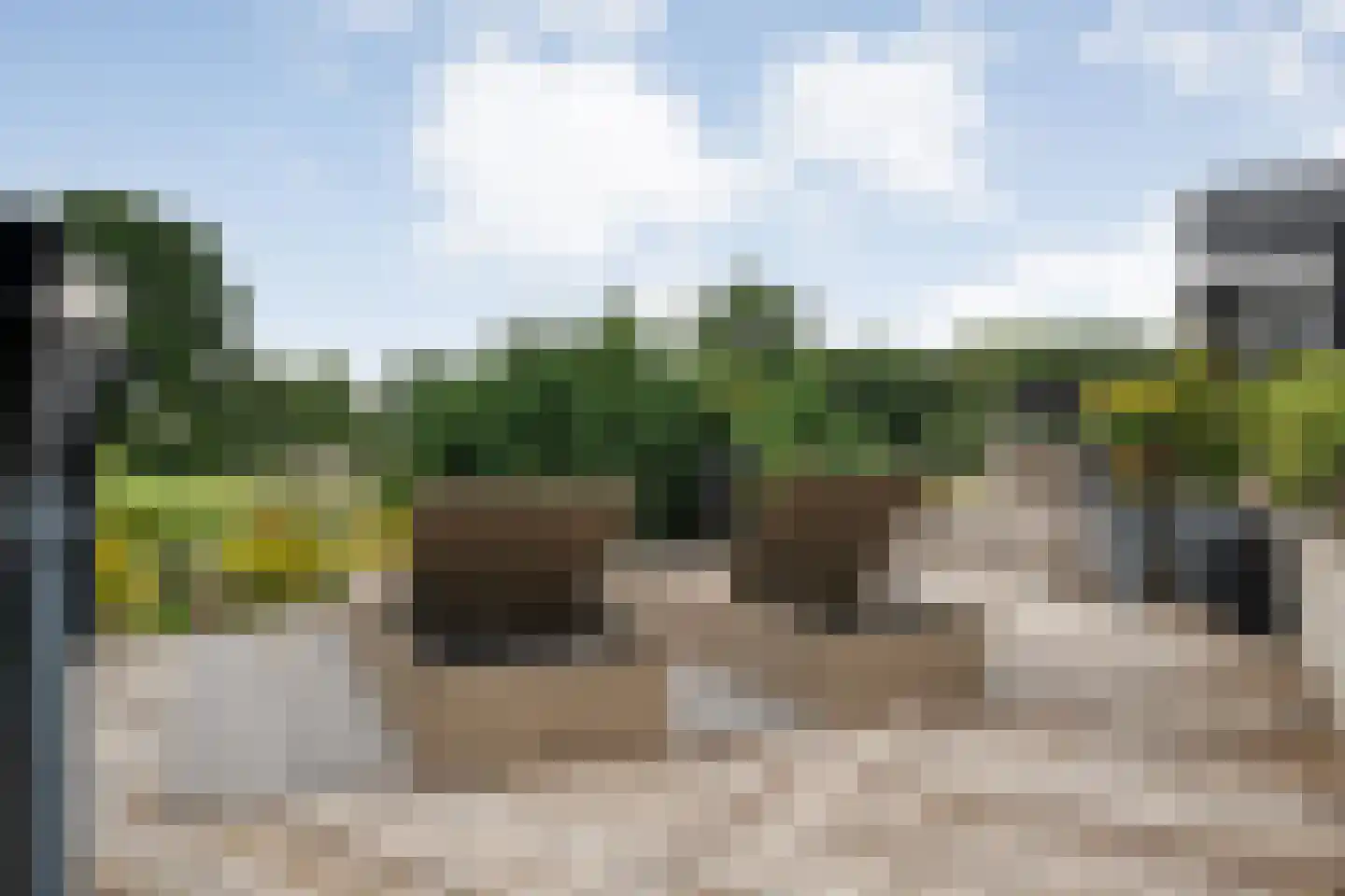 Dammans-Es 12 Dalfsen thumbnail 54