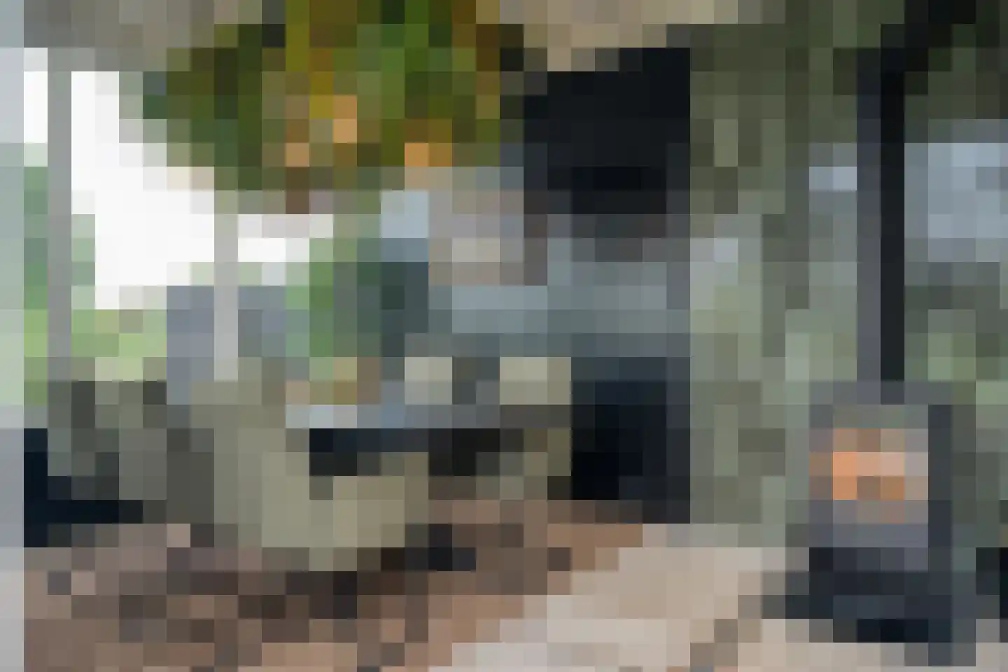Dammans-Es 12 Dalfsen thumbnail 61