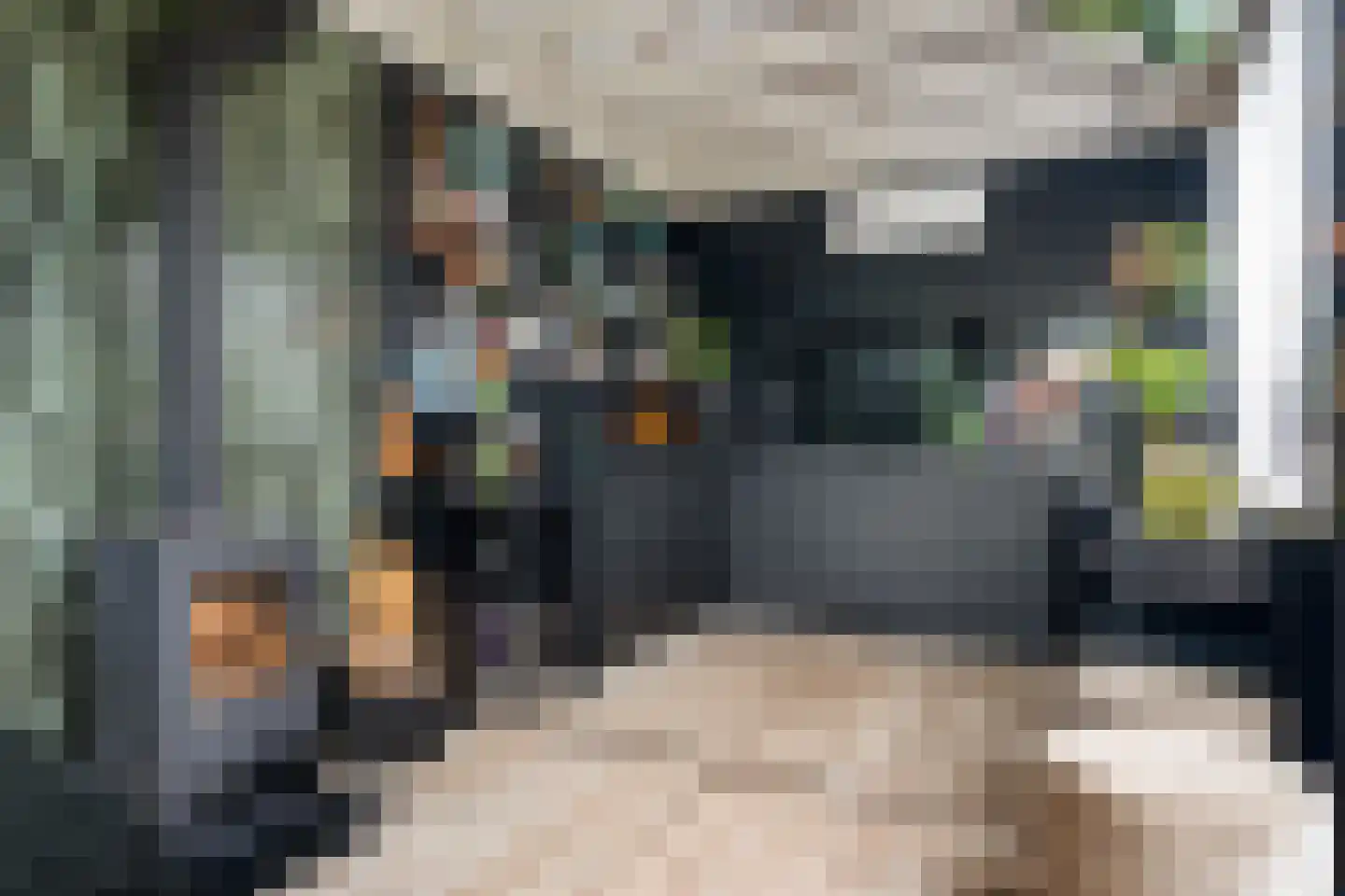 Dammans-Es 12 Dalfsen thumbnail 62