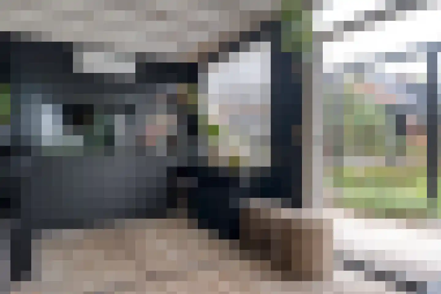 Dammans-Es 12 Dalfsen thumbnail 64
