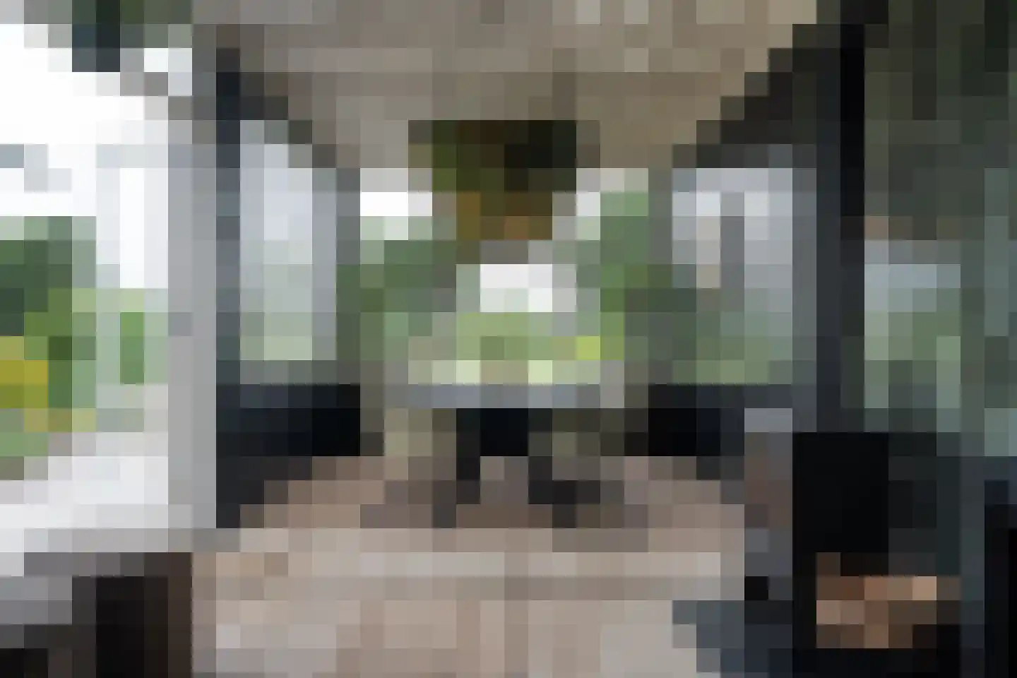 Dammans-Es 12 Dalfsen thumbnail 65